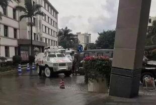 吃瓜撞警车,引发社会热议