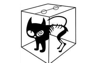 薛定谔吃瓜,薛定谔的猫与吃瓜群众的哲学思考