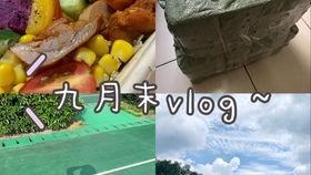 volg日常吃瓜,瓜田里的欢乐时光
