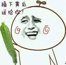 吃瓜逗比表情包,欢乐逗趣，轻松一夏