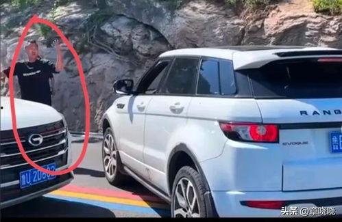 吃瓜路虎事件,揭秘网络舆论背后的真相与反思