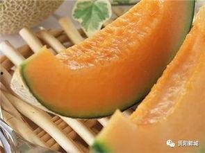 哈密瓜的瓜白怎么吃,探索哈密瓜瓜白的多样美味吃法