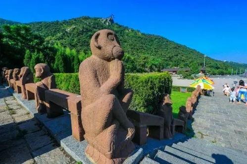 花果山吃瓜事件,揭秘猴王山民们的欢乐时光