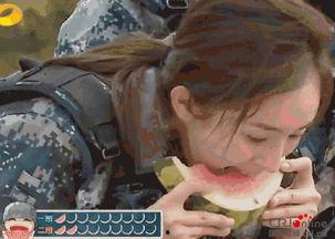 教你减肥吃瓜群众,轻松减肥，教你成为吃瓜达人