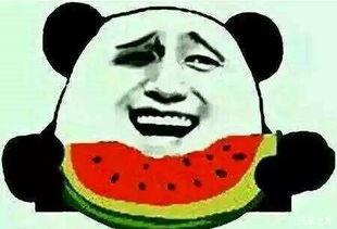 吃瓜群众小窝瓜