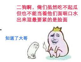 qq斗图吃瓜,趣味横生的表情包盛宴