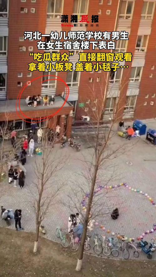 寝室楼下吃瓜,揭秘寝室楼下吃瓜背后的校园生活趣事