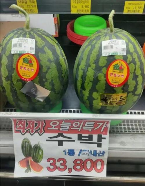 边吃西瓜边看吃瓜直播,直播界的清凉夏日盛宴