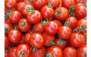 麻瓜西红柿一起吃