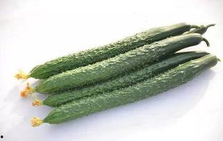 吃瓜群众黄瓜,揭秘吃瓜群众与黄瓜的奇妙缘分