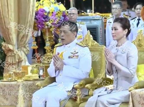 贵妃在线吃瓜小说,宫廷秘闻背后的娱乐风云