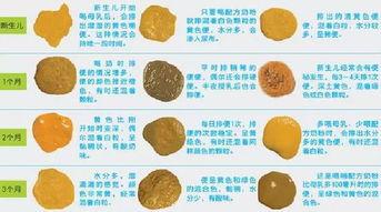 为什么吃瓜大便成形,吃瓜为何能助大便成形