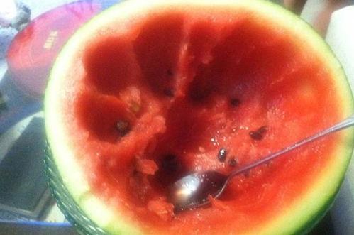 老公楼下吃瓜,老公楼下吃瓜，揭秘社区生活点滴