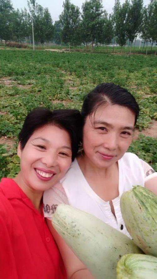 梦见和姐姐摘瓜吃,与姐姐共摘瓜果的甜蜜时光