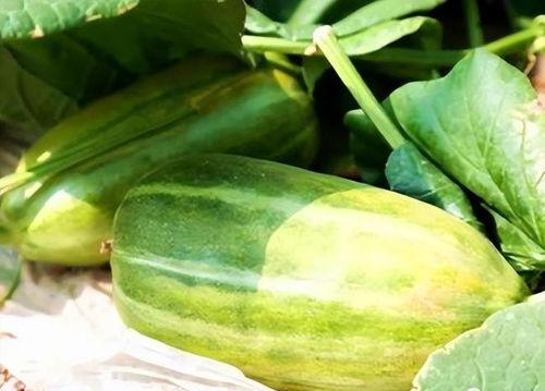 瓜怎样吃最好吃,解锁最佳食用之道