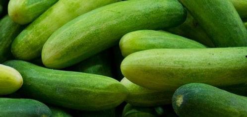 和系统吃瓜,揭秘虚拟世界中的趣味与争议