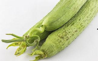 夏天吃丝瓜都是瓜,清凉解暑的天然美食