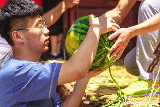 吃瓜天堂cgtt,CGTT背后的娱乐风云