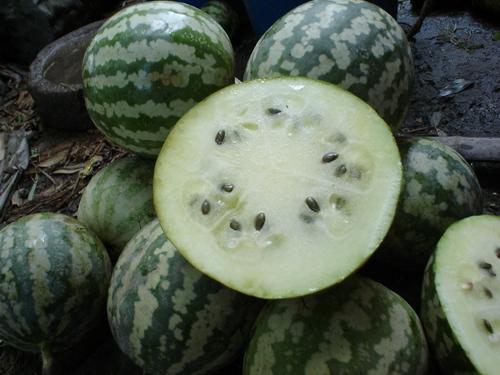 绿宝瓜炒菜吃,家常美味，营养满分