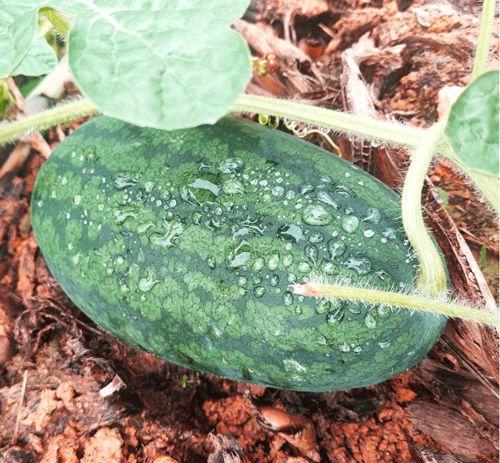 吃瓜寻寻,揭秘娱乐圈背后的故事