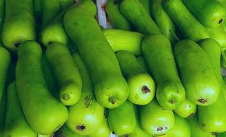 吃蒲瓜后咳嗽,揭秘食用后的身体反应