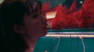 吃瓜的洪荒少女,揭秘少女生活中的趣味瞬间