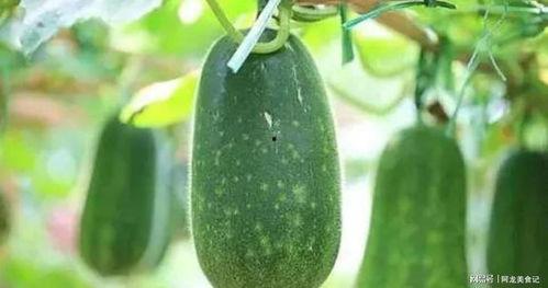 1月份吃瓜,盘点那些让人捧腹大笑的娱乐圈趣事