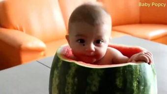 小儿吃瓜打油歌,小儿吃瓜打油歌里的欢乐时光