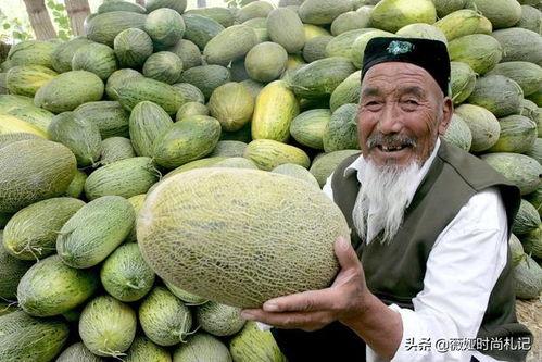 吃哈密瓜语录,舌尖上的甜蜜时光