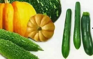 怀念吃瓜的季节说说,回忆那些难忘的吃瓜时光