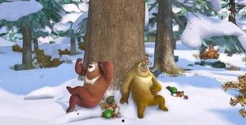 熊出没吃大瓜,瓜果飘香中的欢乐时光