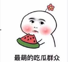 吃瓜群众的互怼,吃瓜群众互怼风云录