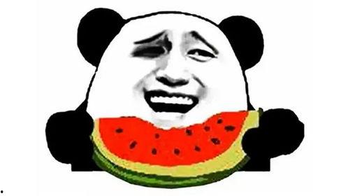 我吃饭你吃瓜,你吃饭我吃瓜，快乐生活新体验