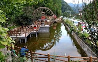 吃瓜帐篷节,吃瓜帐篷节精彩回顾