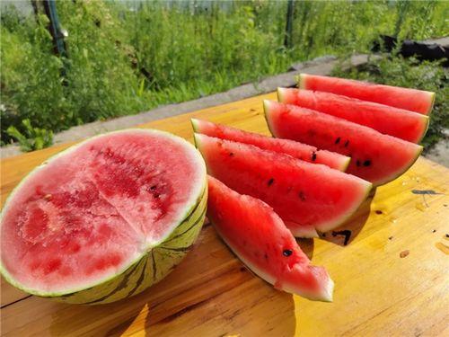 瓜熟了有吃的,共享丰收喜悦