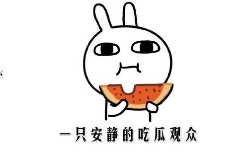 吃瓜怎么形容,吃瓜群众视角下的娱乐圈风云录