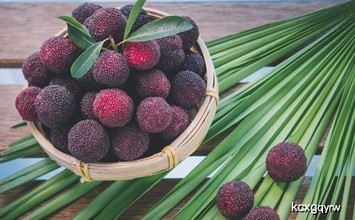 吃哈密瓜吃杨梅,哈密瓜与杨梅的甜蜜邂逅