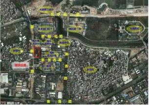 厦门集美吃瓜群众,吃瓜群众的欢乐日常