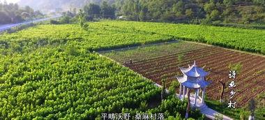 吃瓜视频康县,揭秘当地特色美食与风土人情