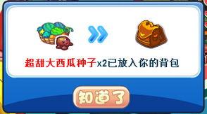 吃瓜比赛活动分析,舌尖上的趣味竞技盛宴