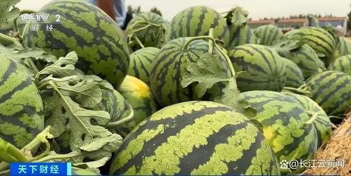 甜甜在线吃瓜,揭秘娱乐圈幕后故事