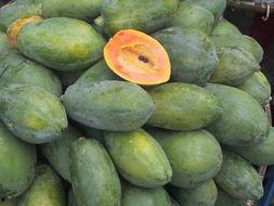 越吃越大的瓜,揭秘美食背后的神奇魔力 第2张 越吃越大的瓜,揭秘美食背后的神奇魔力 第2张