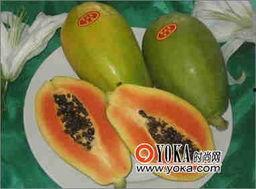 越吃越大的瓜,揭秘美食背后的神奇魔力 第3张 越吃越大的瓜,揭秘美食背后的神奇魔力 第3张