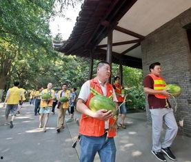 吃瓜群众在三藩,吃瓜群众眼中的繁华盛景 第2张 吃瓜群众在三藩,吃瓜群众眼中的繁华盛景 第2张