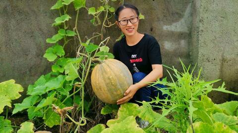 农村夫妇吃瓜 第3张 农村夫妇吃瓜 第3张