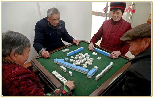 吃瓜开场子打牌,一场别开生面的娱乐盛宴 第2张 吃瓜开场子打牌,一场别开生面的娱乐盛宴 第2张