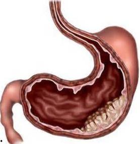 胃炎可以吃蓝瓜  第3张