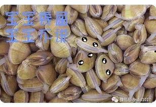 东港免费吃瓜,畅享清凉夏日好时光  第2张