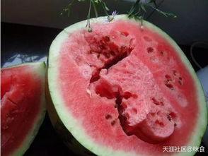 吃瓜文明测评,揭秘网络热议背后的文化现象  第2张