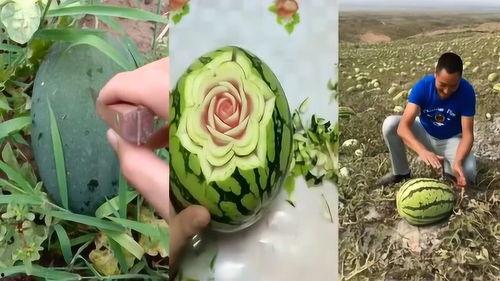 地里吃瓜的cha,揭秘乡村生活的独特魅力  第2张